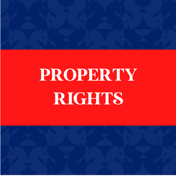 Property Rights